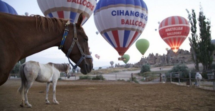 Cihangiroglu Balloons 30-minute Flight